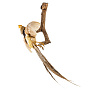 Чучело настенное "Золотой фазан", фотография 7. Интернет-магазин ЛАВКА ПОДАРКОВ
