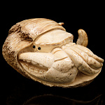 /И771 Скульптура "Краб" ухо кита 10,5*9*5,5см