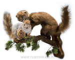 Таксидермия Композиция из Чучел "Охота на белку"(КУНИЦА, БЕЛКА)