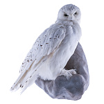  Чучело полярной совы 