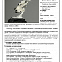 Скульптура "Над волной". Музейный экспонат, фотография 3. Интернет-магазин ЛАВКА ПОДАРКОВ