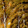 Картина янтарная "Лесное озеро" 30х40 см, фотография 5. Интернет-магазин ЛАВКА ПОДАРКОВ