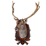  ЧУЧЕЛО "ГОЛОВА ЛАНИ НА МЕДАЛЬОНЕ" 