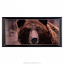 Нарды-шашки деревянные "Медведь", фотография 4. Интернет-магазин ЛАВКА ПОДАРКОВ
