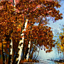 Картина янтарная "Пейзаж" 60х29 см, фотография 3. Интернет-магазин ЛАВКА ПОДАРКОВ