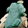 Скульптура из натурального камня "Жаба денежная", фотография 5. Интернет-магазин ЛАВКА ПОДАРКОВ