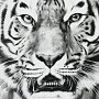 Тарелка мелкая "Тигр" 24 см, фотография 2. Интернет-магазин ЛАВКА ПОДАРКОВ