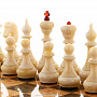Шахматы из карельской березы с фигурами из янтаря, фотография 7. Интернет-магазин ЛАВКА ПОДАРКОВ