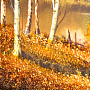 Янтарная картина "Пейзаж №4" 47х112 см, фотография 4. Интернет-магазин ЛАВКА ПОДАРКОВ