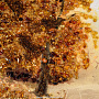 Картина янтарная "Рассвет в лесу" 78х98 см, фотография 3. Интернет-магазин ЛАВКА ПОДАРКОВ