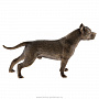 Бронзовая статуэтка "Собака Стаффордширский терьер", фотография 4. Интернет-магазин ЛАВКА ПОДАРКОВ