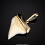 Подвеска-амулет из зуба белой рифовой акулы, фотография 1. Интернет-магазин ЛАВКА ПОДАРКОВ
