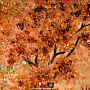 Картина янтарная "Лесной ручей" 78х98 см, фотография 4. Интернет-магазин ЛАВКА ПОДАРКОВ