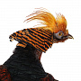 Настенное чучело птицы "Фазан алмазный", фотография 4. Интернет-магазин ЛАВКА ПОДАРКОВ