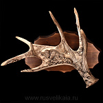   Рог лося КОМПОЗИЦИЯ "ОХОТА НА КАБАНА" настенная