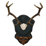  Рога  пятнистого оленя на резном медальоне