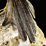 Эксклюзивная скульптура "Сокол" (серебро 925), фотография 12. Интернет-магазин ЛАВКА ПОДАРКОВ