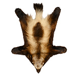 Таксидермия. Ковер из шкуры росомахи