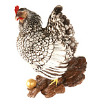  Чучело "КУРОЧКА РЯБА С ЗОЛОТЫМ ЯИЧКОМ" настенное 24*26*37см