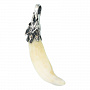 Амулет из клыка волка, фотография 3. Интернет-магазин ЛАВКА ПОДАРКОВ