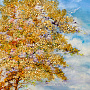 Янтарная картина "Пейзаж №1" 80х60 см, фотография 3. Интернет-магазин ЛАВКА ПОДАРКОВ