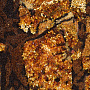 Янтарная картина "Тевтобургский лес" 60х80см, фотография 2. Интернет-магазин ЛАВКА ПОДАРКОВ
