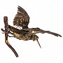 Настенное чучело птицы "Вальдшнепа летящий", фотография 6. Интернет-магазин ЛАВКА ПОДАРКОВ