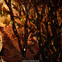 Картина янтарная "Лев и львица" 84х104 см, фотография 4. Интернет-магазин ЛАВКА ПОДАРКОВ