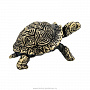 Бронзовая статуэтка "Черепаха", фотография 4. Интернет-магазин ЛАВКА ПОДАРКОВ