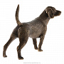 Бронзовая статуэтка "Собака Бигль", фотография 4. Интернет-магазин ЛАВКА ПОДАРКОВ