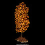 Денежное дерево из янтаря, фотография 1. Интернет-магазин ЛАВКА ПОДАРКОВ
