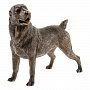 Бронзовая статуэтка "Собака Азиатская овчарка", фотография 5. Интернет-магазин ЛАВКА ПОДАРКОВ