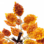 Денежное дерево из янтаря 30 листьев, фотография 4. Интернет-магазин ЛАВКА ПОДАРКОВ