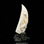 Скульптура из кости "Рыба-молот", фотография 2. Интернет-магазин ЛАВКА ПОДАРКОВ