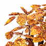 Денежное дерево из янтаря (198 листов), фотография 5. Интернет-магазин ЛАВКА ПОДАРКОВ