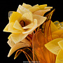 Композиция из янтаря "Цветы в вазе", фотография 2. Интернет-магазин ЛАВКА ПОДАРКОВ