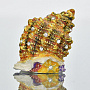 Наперсток "Морская раковина" (традиции Фаберже), фотография 1. Интернет-магазин ЛАВКА ПОДАРКОВ