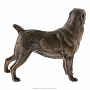 Бронзовая статуэтка "Собака Азиатская овчарка", фотография 4. Интернет-магазин ЛАВКА ПОДАРКОВ
