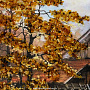 Картина янтарная "Пейзаж" 28х47 см, фотография 2. Интернет-магазин ЛАВКА ПОДАРКОВ