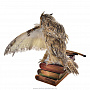 Чучело птицы  "Сова со стопкой книг", фотография 3. Интернет-магазин ЛАВКА ПОДАРКОВ