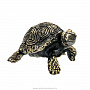Бронзовая статуэтка "Черепаха", фотография 3. Интернет-магазин ЛАВКА ПОДАРКОВ