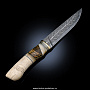 Нож сувенирный с рукоятью из кости "Акула", фотография 2. Интернет-магазин ЛАВКА ПОДАРКОВ