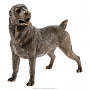 Бронзовая статуэтка "Собака Азиатская овчарка", фотография 1. Интернет-магазин ЛАВКА ПОДАРКОВ