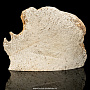 Скульптура из кости кита "Носорог", фотография 3. Интернет-магазин ЛАВКА ПОДАРКОВ
