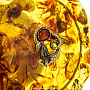 Круглая шкатулка из янтаря "Знак зодиака Козерог", фотография 5. Интернет-магазин ЛАВКА ПОДАРКОВ
