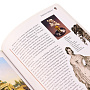 Подарочная книга "Романовы - императоры России" на немецком языке, фотография 3. Интернет-магазин ЛАВКА ПОДАРКОВ