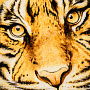 Картина янтарная "Тигр" 57х47 см, фотография 3. Интернет-магазин ЛАВКА ПОДАРКОВ