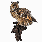  Таксидермия Чучело "СОВА" ушастая