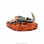 Статуэтка с янтарем "Скорпион", фотография 3. Интернет-магазин ЛАВКА ПОДАРКОВ