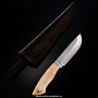 Нож сувенирный "Пегас", фотография 1. Интернет-магазин ЛАВКА ПОДАРКОВ